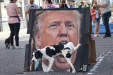 1769182345713.png 1769182345713.png