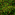 Jungle.gif