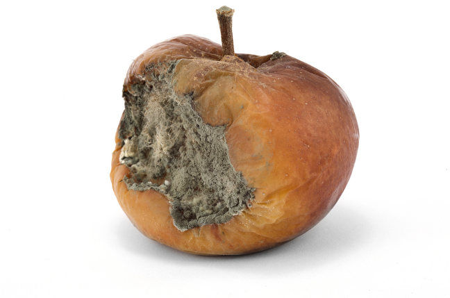 rotten_apple.jpg