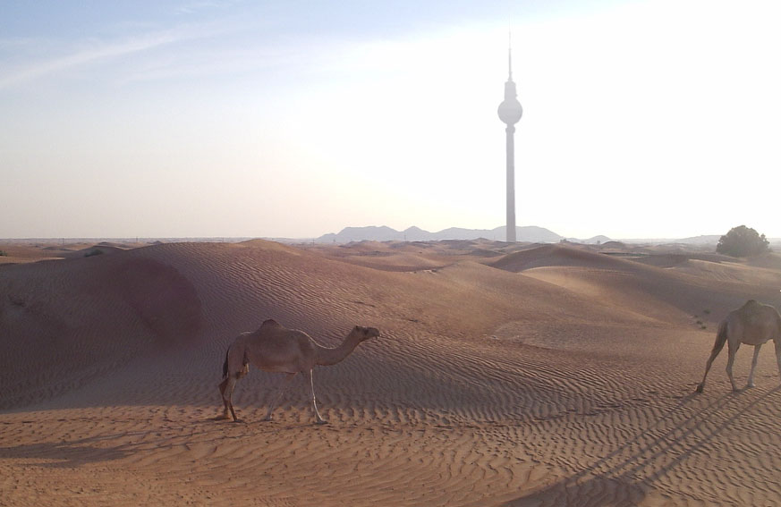 dromedareundfernsehturm.jpg
