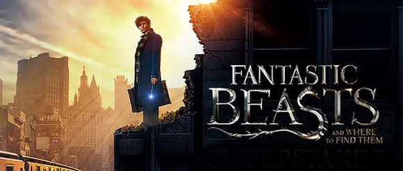 fantasticbeastsbanner.jpg