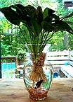 vase1.jpg