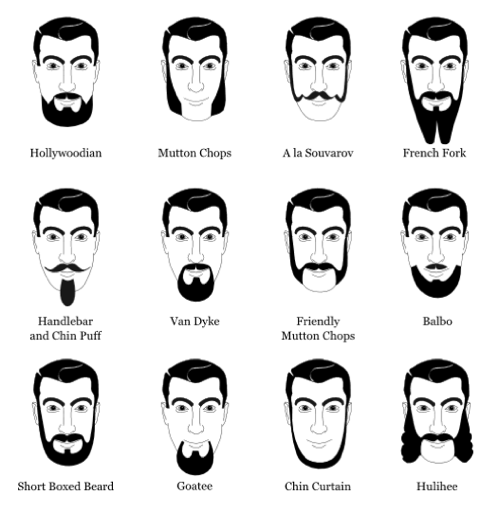 beard-types-20080522-220157.png