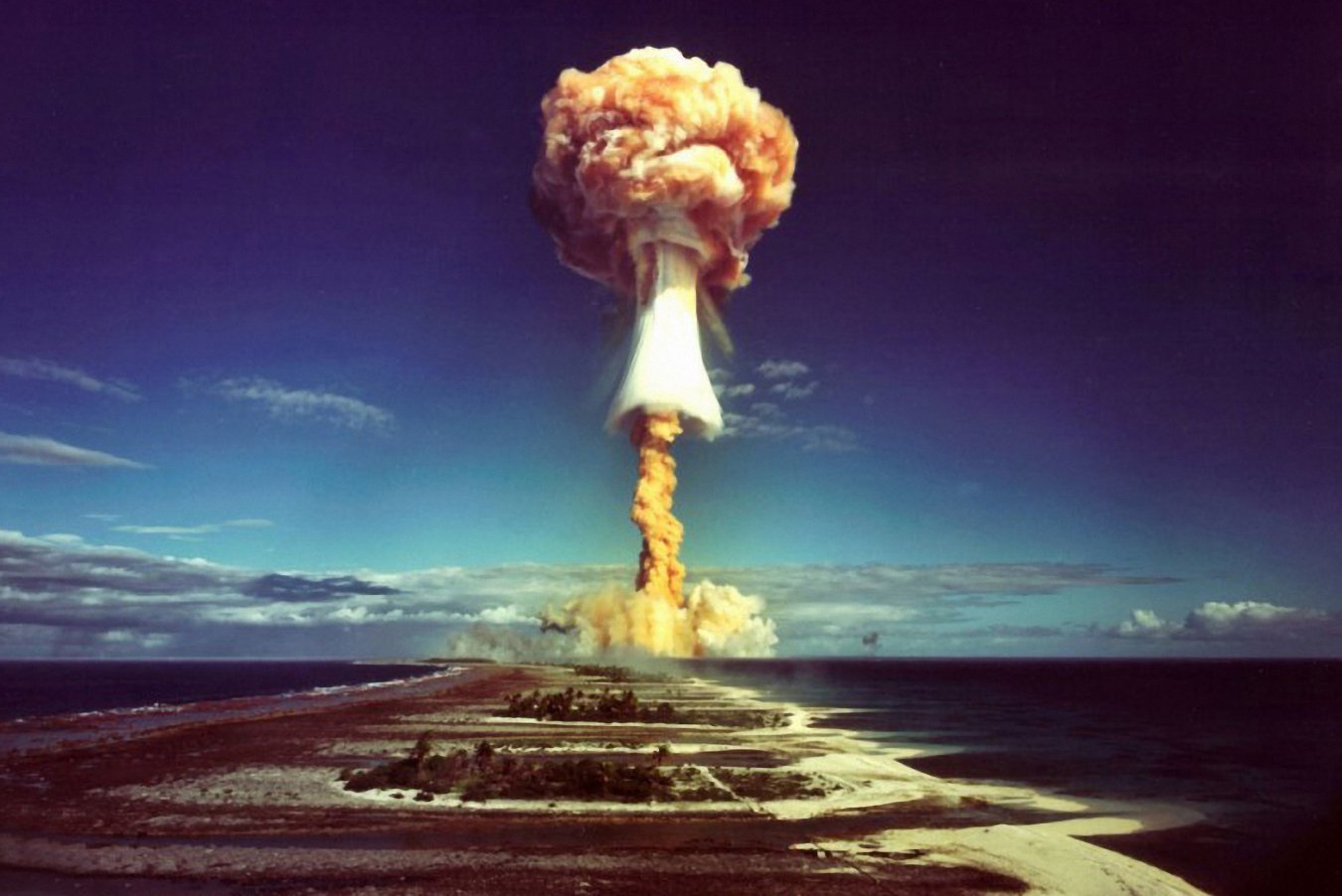 www.newscientist.com