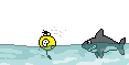 TTtdY.gif