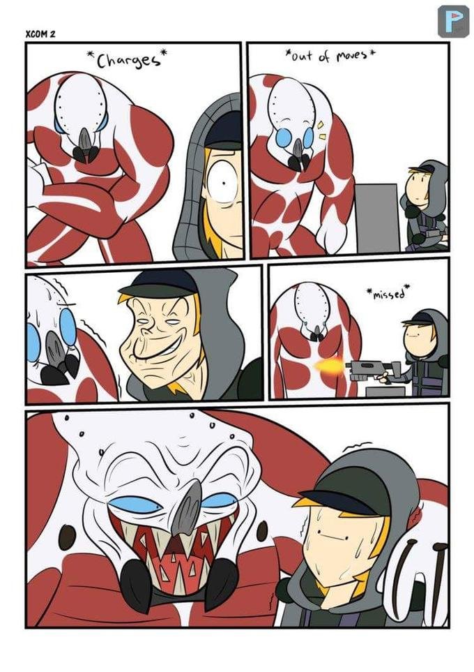 SDGL3TZ.jpg