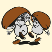www.pilzmaennchen.de