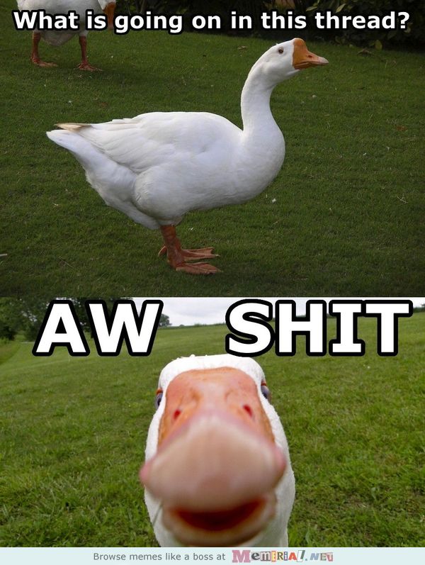 what-is-going-on.jpg